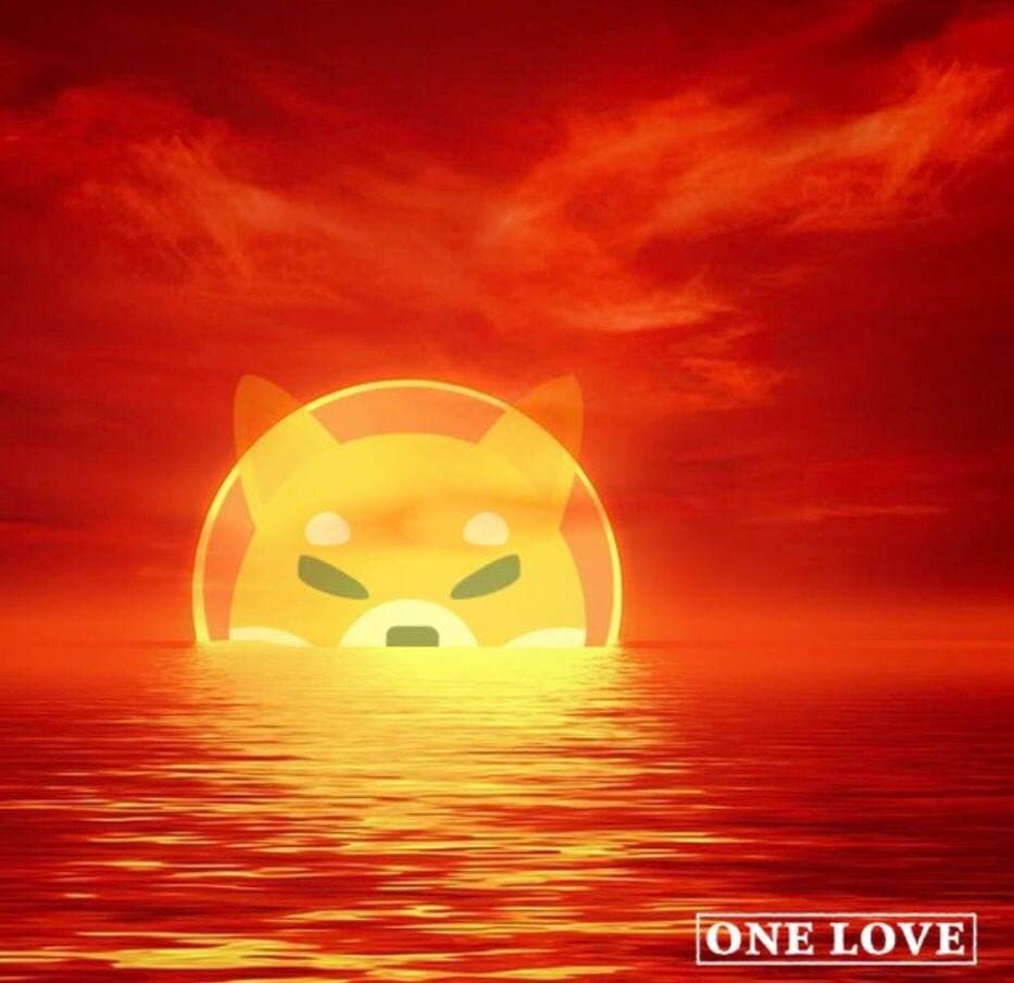 Have you seen SHIB INU, a meme coin taking the Crypto world by storm?