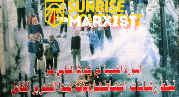 Notorious anti-American Marxist Lisa Fithian, paid teach activists, spotted among Columbia rioters