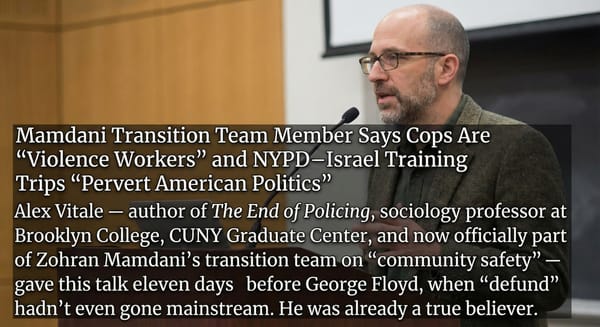 THE SHADOW COMMISSIONER: How a Brooklyn Professor is Using Goldman Sachs Money to Privatize the Police