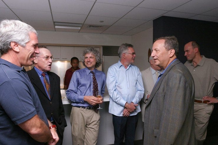 THE SHADOW COMMISSIONER: How a Brooklyn Professor is Using Goldman Sachs Money to Privatize the Police